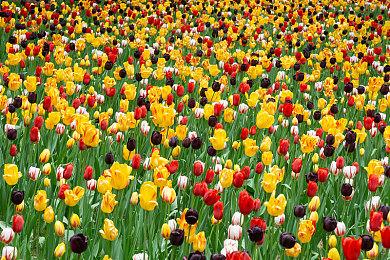 《死亡空间》系列再次雪藏、《死亡空间4》没有通过EA的批准