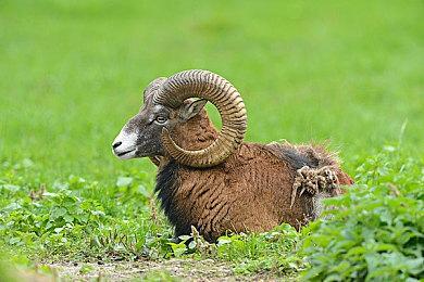 《极限国度》第一年更新路线图公布 加入新赛事